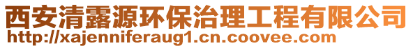 西安清露源环保治理工程有限公司