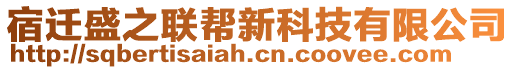 宿遷盛之聯(lián)幫新科技有限公司