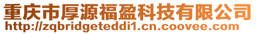 重庆市厚源福盈科技有限公司