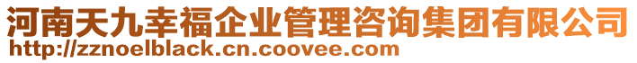 河南天九幸福企業(yè)管理咨詢集團(tuán)有限公司