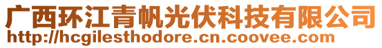 廣西環(huán)江青帆光伏科技有限公司