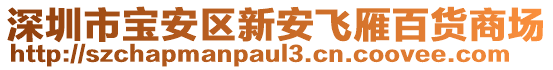 深圳市寶安區(qū)新安飛雁百貨商場
