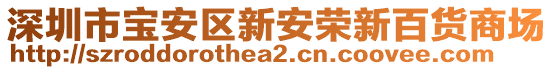 深圳市寶安區(qū)新安榮新百貨商場