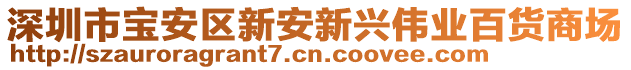 深圳市寶安區(qū)新安新興偉業(yè)百貨商場