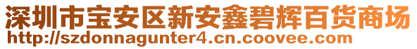 深圳市寶安區(qū)新安鑫碧輝百貨商場