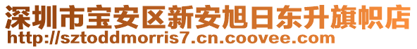 深圳市寶安區(qū)新安旭日東升旗幟店