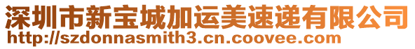 深圳市新寶城加運(yùn)美速遞有限公司