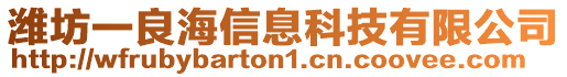 濰坊一良海信息科技有限公司