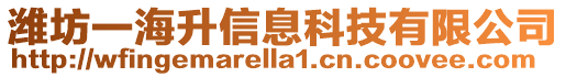 濰坊一海升信息科技有限公司