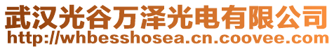 武漢光谷萬澤光電有限公司