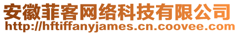 安徽菲客網絡科技有限公司