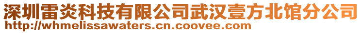 深圳雷炎科技有限公司武漢壹方北館分公司