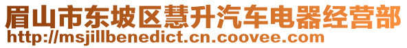 眉山市東坡區(qū)慧升汽車電器經(jīng)營部