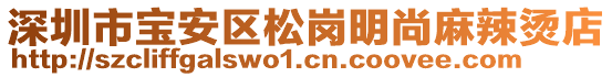 深圳市寶安區(qū)松崗明尚麻辣燙店