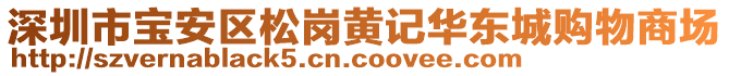 深圳市寶安區(qū)松崗黃記華東城購(gòu)物商場(chǎng)