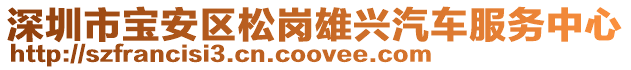 深圳市寶安區(qū)松崗雄興汽車服務中心