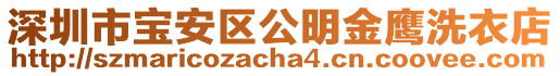 深圳市寶安區(qū)公明金鷹洗衣店