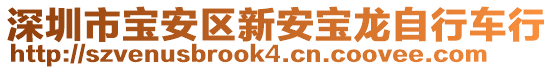 深圳市寶安區(qū)新安寶龍自行車行