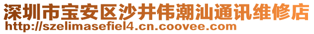 深圳市寶安區(qū)沙井偉潮汕通訊維修店