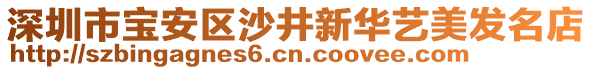 深圳市寶安區(qū)沙井新華藝美發(fā)名店