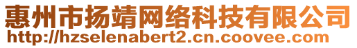 惠州市揚靖網(wǎng)絡科技有限公司