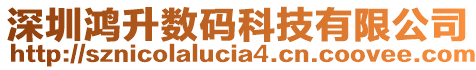 深圳鴻升數(shù)碼科技有限公司