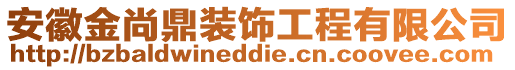 安徽金尚鼎装饰工程有限公司