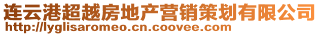 连云港超越房地产营销策划有限公司