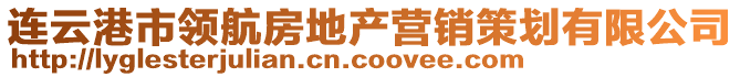 連云港市領(lǐng)航房地產(chǎn)營(yíng)銷策劃有限公司