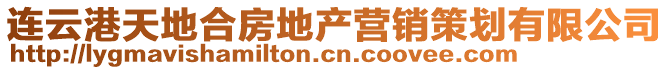 连云港天地合房地产营销策划有限公司