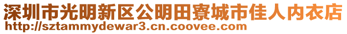 深圳市光明新區(qū)公明田寮城市佳人內(nèi)衣店