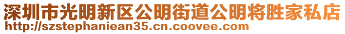 深圳市光明新區(qū)公明街道公明將勝家私店