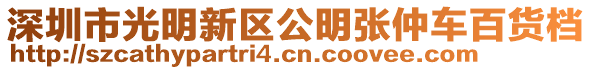 深圳市光明新區(qū)公明張仲車百貨檔