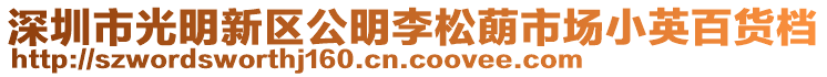 深圳市光明新區(qū)公明李松蓢市場小英百貨檔