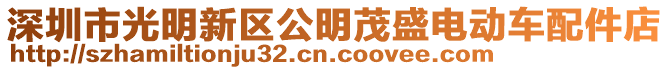 深圳市光明新區(qū)公明茂盛電動車配件店