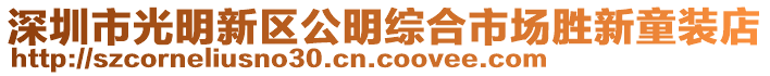 深圳市光明新區(qū)公明綜合市場勝新童裝店