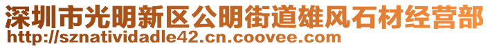 深圳市光明新區(qū)公明街道雄風(fēng)石材經(jīng)營部