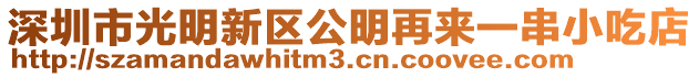 深圳市光明新區(qū)公明再來一串小吃店