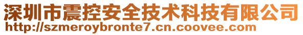 深圳市震控安全技術(shù)科技有限公司