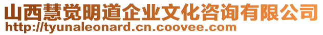 山西慧覺(jué)明道企業(yè)文化咨詢有限公司