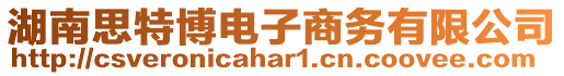 湖南思特博電子商務(wù)有限公司