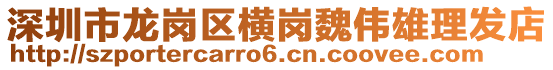 深圳市龙岗区横岗魏伟雄理发店