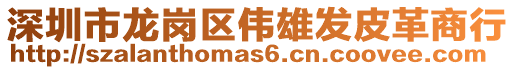 深圳市龙岗区伟雄发皮革商行