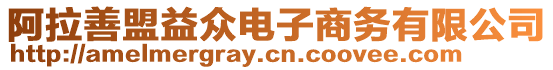 阿拉善盟益眾電子商務有限公司