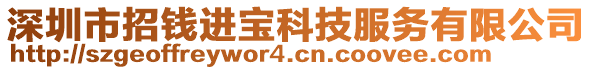 深圳市招钱进宝科技服务有限公司