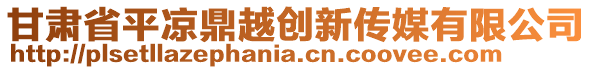 甘肅省平?jīng)龆υ絼?chuàng)新傳媒有限公司