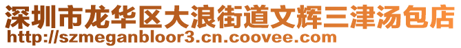 深圳市龍華區(qū)大浪街道文輝三津湯包店