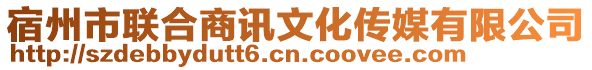 宿州市聯(lián)合商訊文化傳媒有限公司