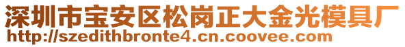 深圳市寶安區(qū)松崗正大金光模具廠