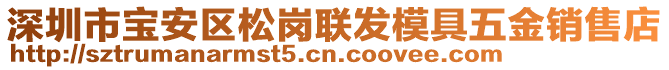 深圳市寶安區(qū)松崗聯(lián)發(fā)模具五金銷售店